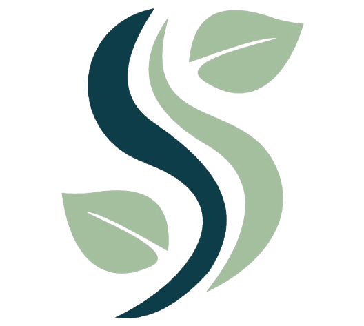 website logo